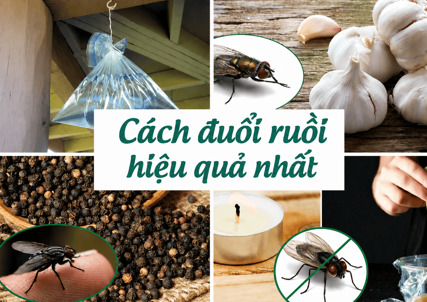 duoi-ruoi