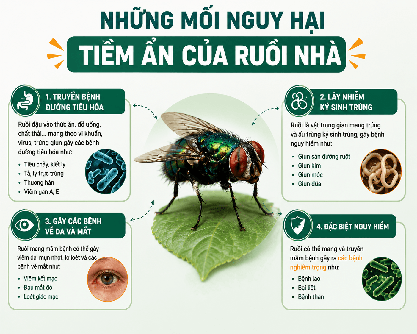 moi-nguy-hai-ruoi-nha