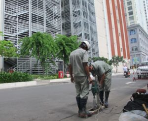 Diệt trừ mối với Exterra - Tác nhân nhỏ, tác hại lớn