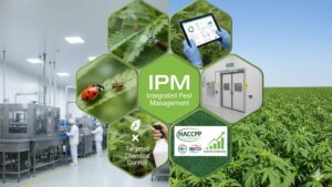 Vai trò quan trọng của chương trình Kiểm soát sinh vật hại toàn diện IPM trong các tiêu chuẩn quốc tế về an toàn thực phẩm