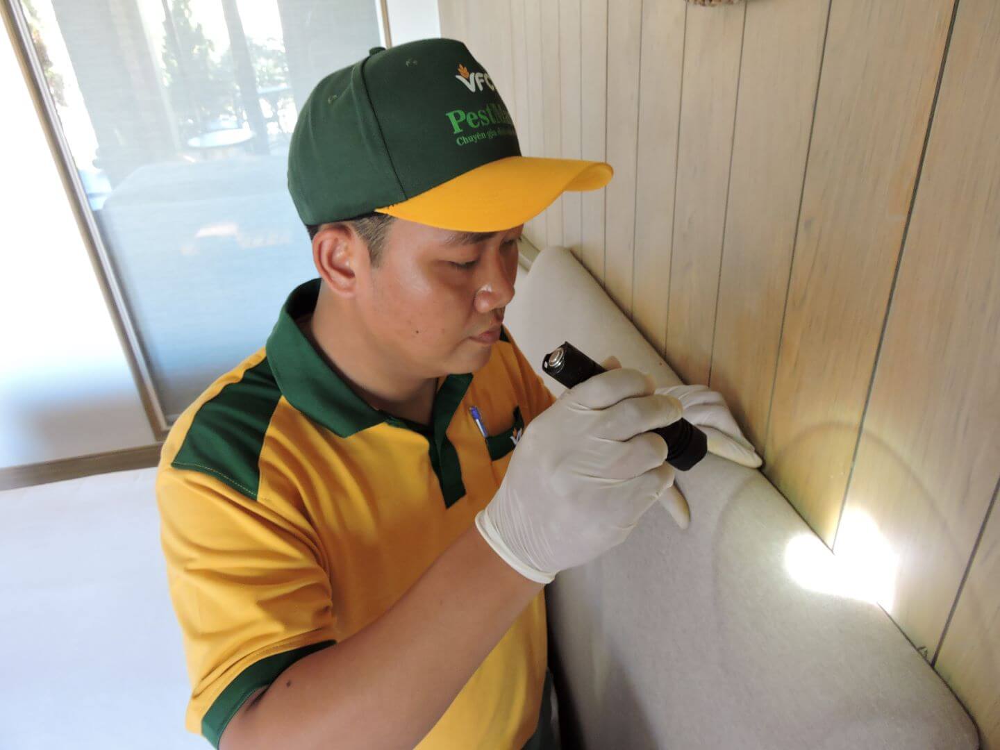 tong-hop-cac-loai-con-trung-dich-hai-trong-khach-san-13-pestman