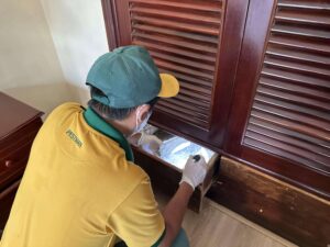 Công nghệ diệt mối Exterra - Bảo vệ công trình bằng giải pháp sinh học lâu dài