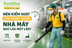 Nhà máy nên kiểm soát côn trùng định kỳ bao lâu một lần?