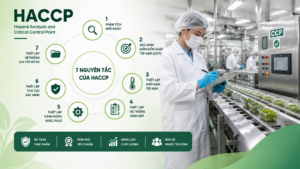 HACCP là gì? 7 nguyên tắc và yêu cầu doanh nghiệp thực phẩm cần biết